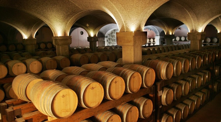 Argiolas winery at Serdiana — a private cellar tour and tasting of Sardinia's benchmark Cannonau and Turriga