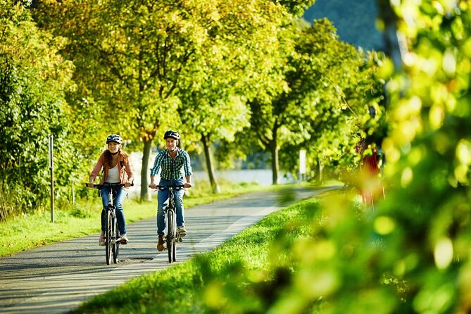Rhine Cycle & Champagne Picnic: Private Guided Ride