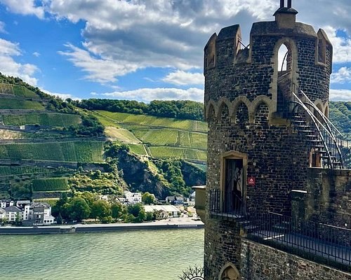 Craft Brewery & Rhine Artisan Food Immersion
