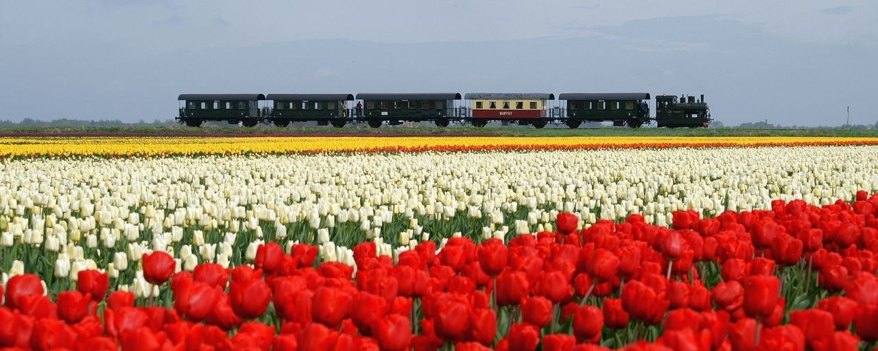 Museumstoomtram: Vintage Steam Tram to Medemblik & Back