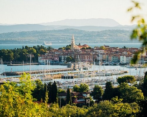 Vinakoper & Koper Old Town: Istrian Wine & Culture Private Tour