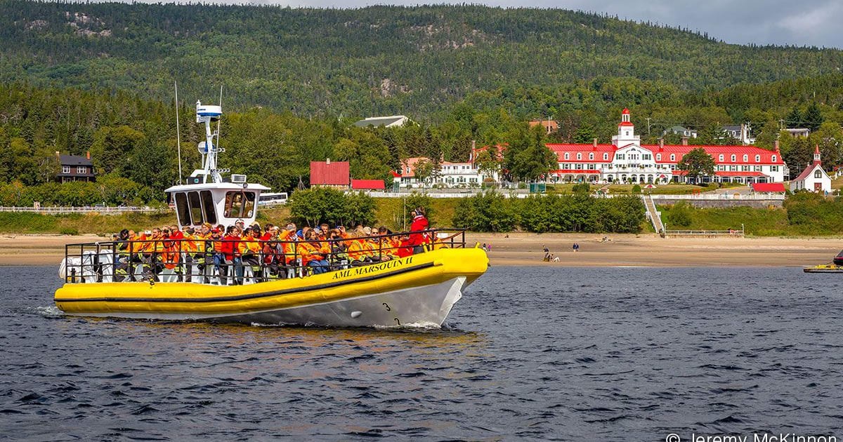 Pirsuq Expedition: Zodiac Whale & Wildlife Cruise on the St. Lawrence