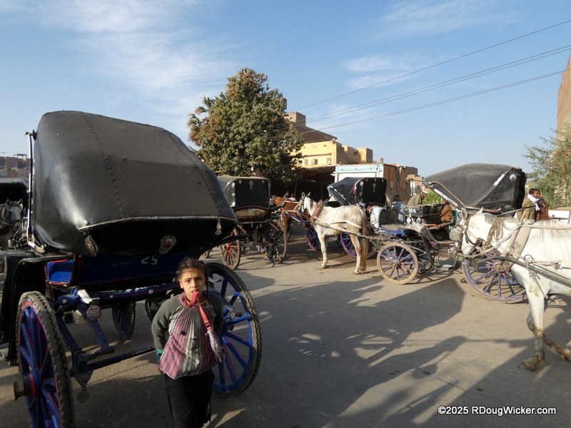 Authentic Caleche Carriage Ride Through Old Edfu Town