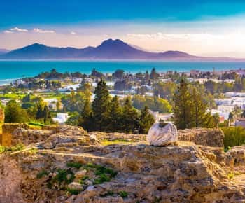 Ancient Carthage with a licensed archaeologist — Byrsa Hill, Antonine Baths & the Punic Ports