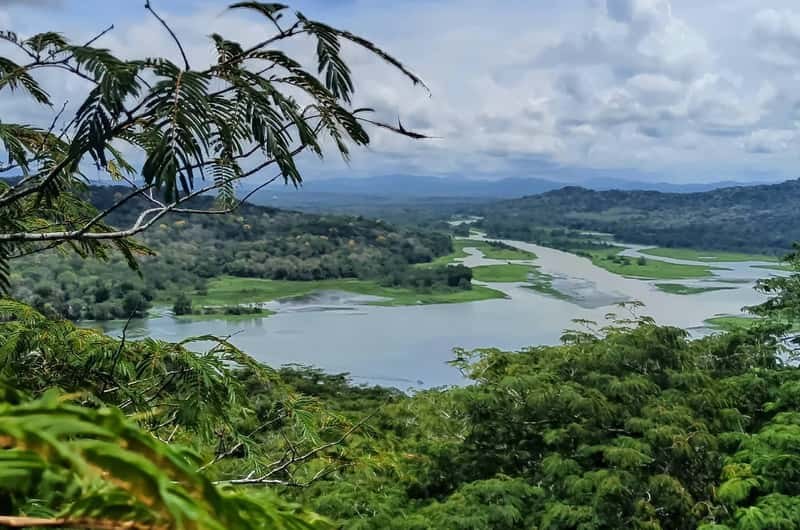 Soberania National Park: Expert-Led Rainforest & Wildlife Tram