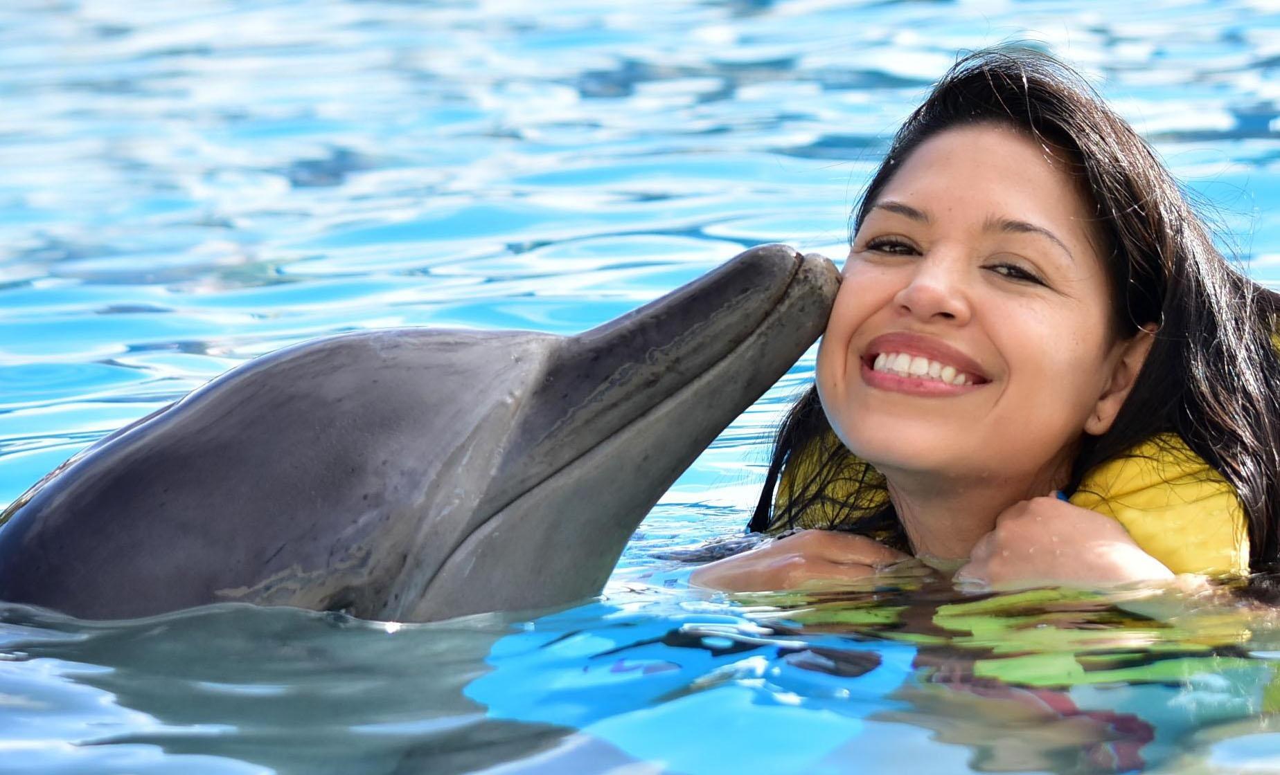 Dolphin Cove: Private Swim & Encounter Experience
