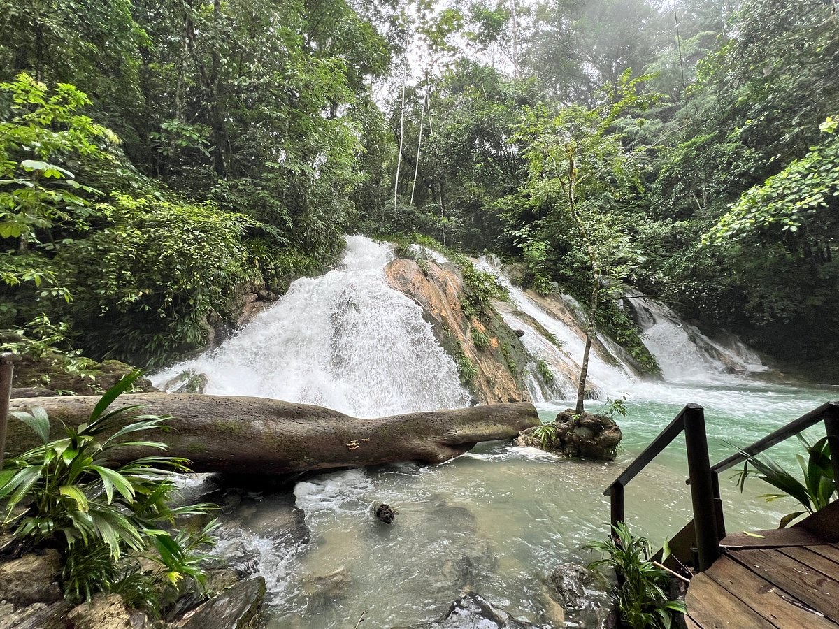 Sendero Las Escobas: Private Waterfall & Jungle Wildlife Trek