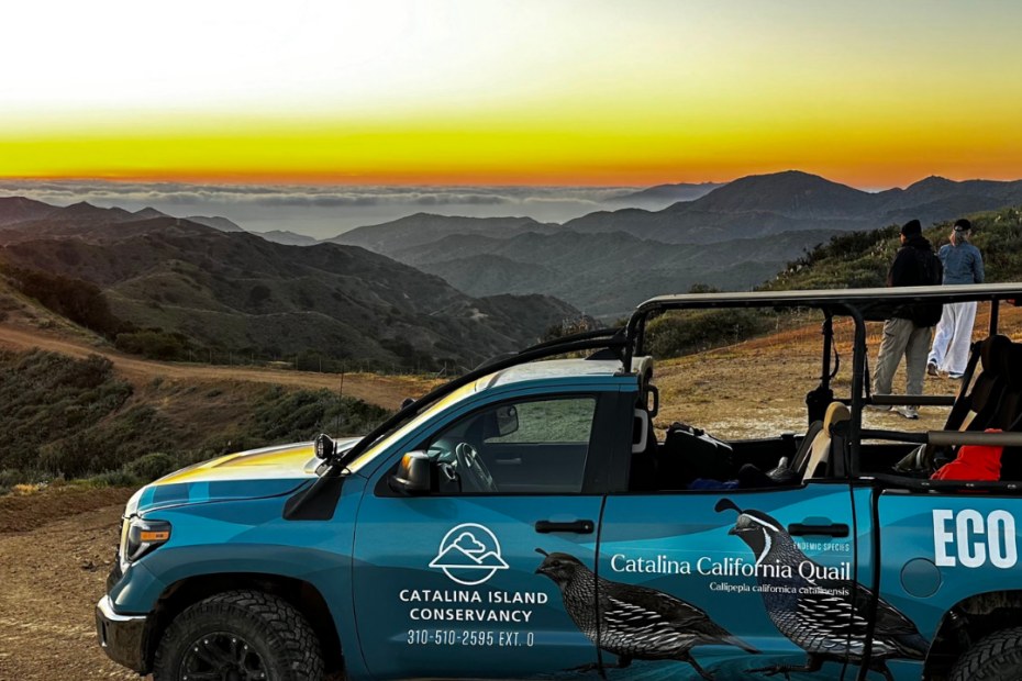 Private Wildlands Eco Tour: Bison, Eagles & Hidden Catalina