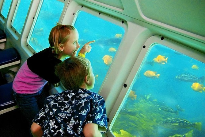 Undersea Sub Expedition: Kelp Forest & Marine Life Dive