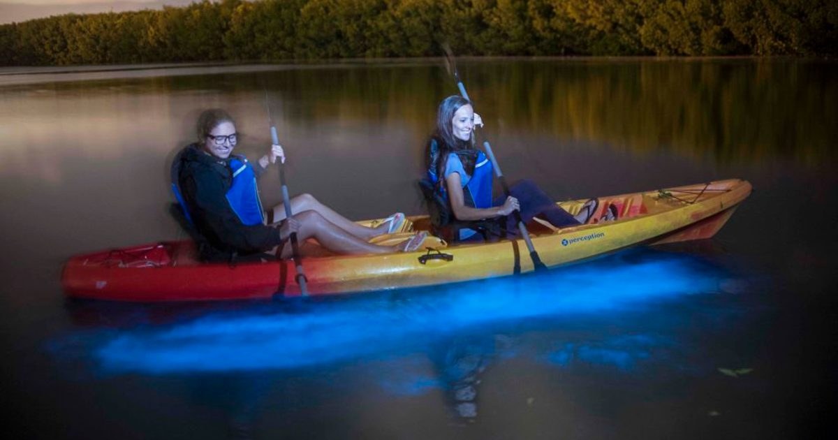 Bioluminescence kayak night tour with Cayman Kayaks (overnight ports / extended calls)