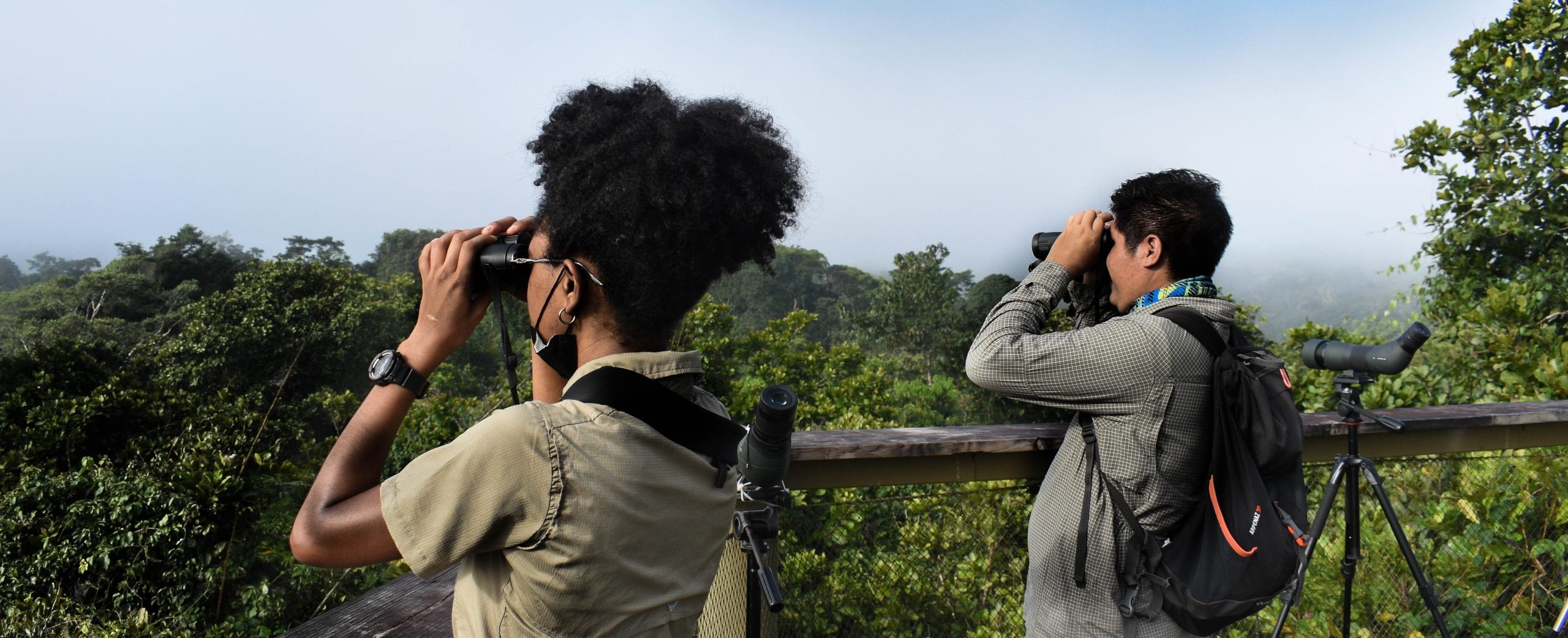 Monkey Island & Pipeline Road: Private Birding Expedition