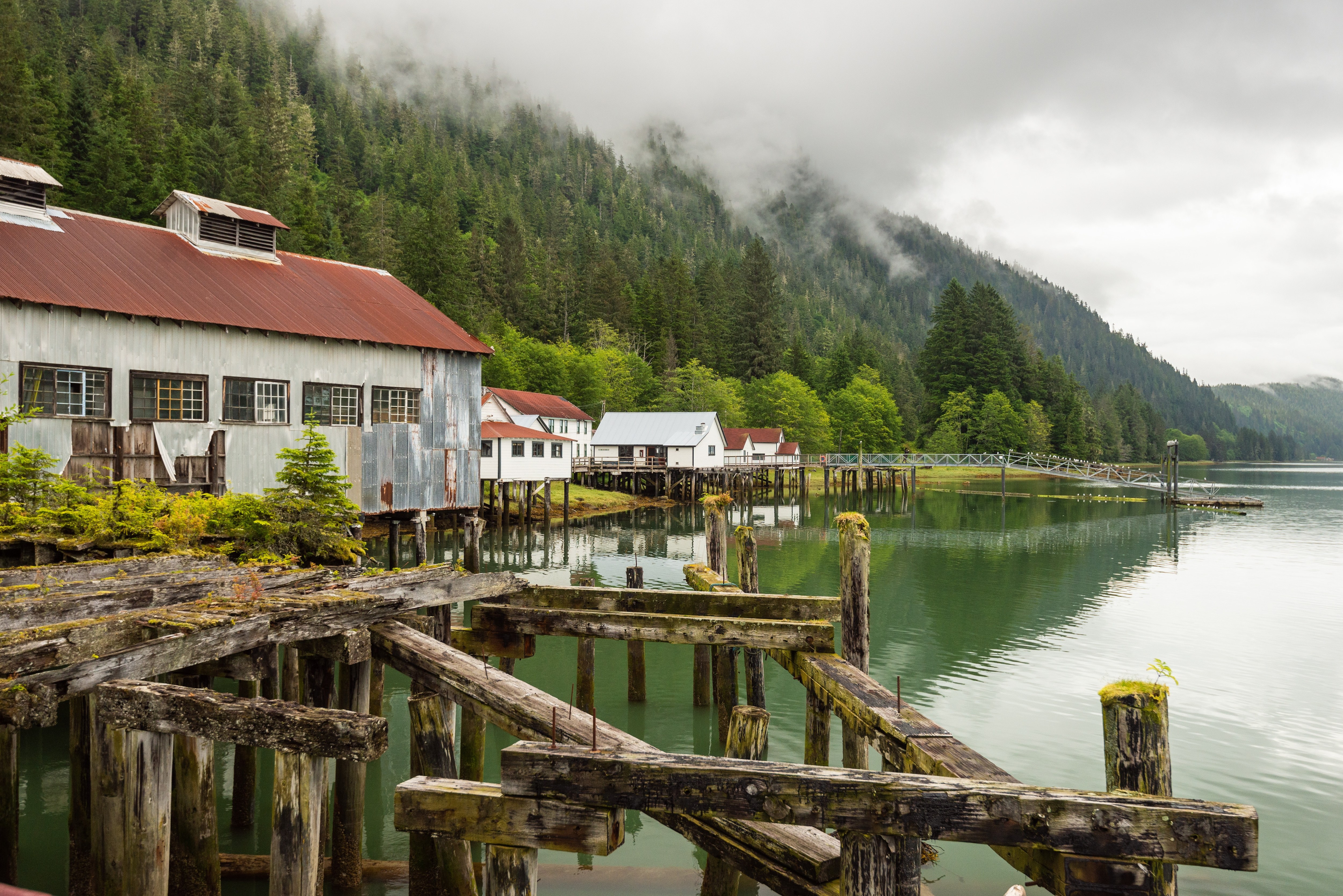 Great Bear Rainforest Zodiac Wildlife Safari