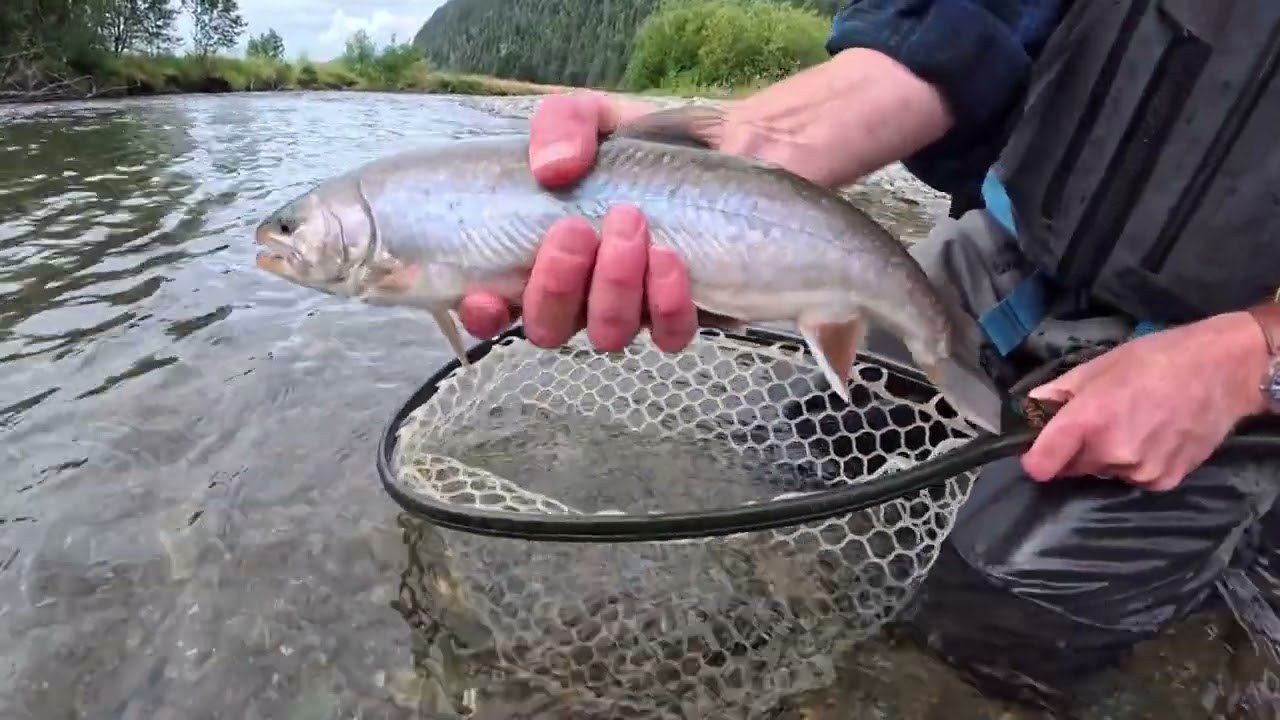 Juneau Fly-Fishing: Remote River Half-Day with Expert Guide