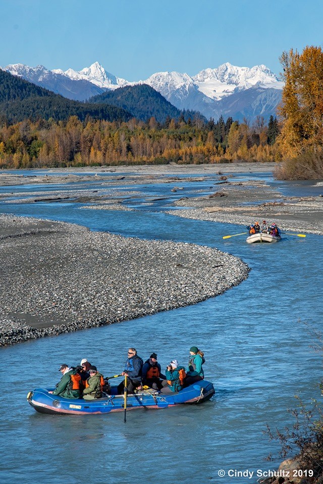 Chilkat Bald Eagle Preserve: Expert-Led Rafting Expedition