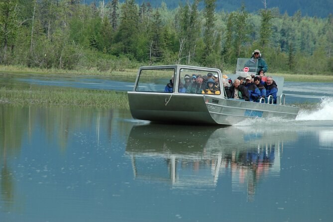 Chilkat River Jet Boat: Deep Wilderness Wildlife Cruise