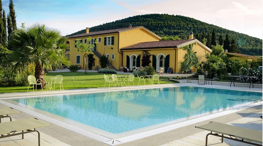 Leda d'Ittiri Boutique Winery: Private Wine & Olive Oil Tasting