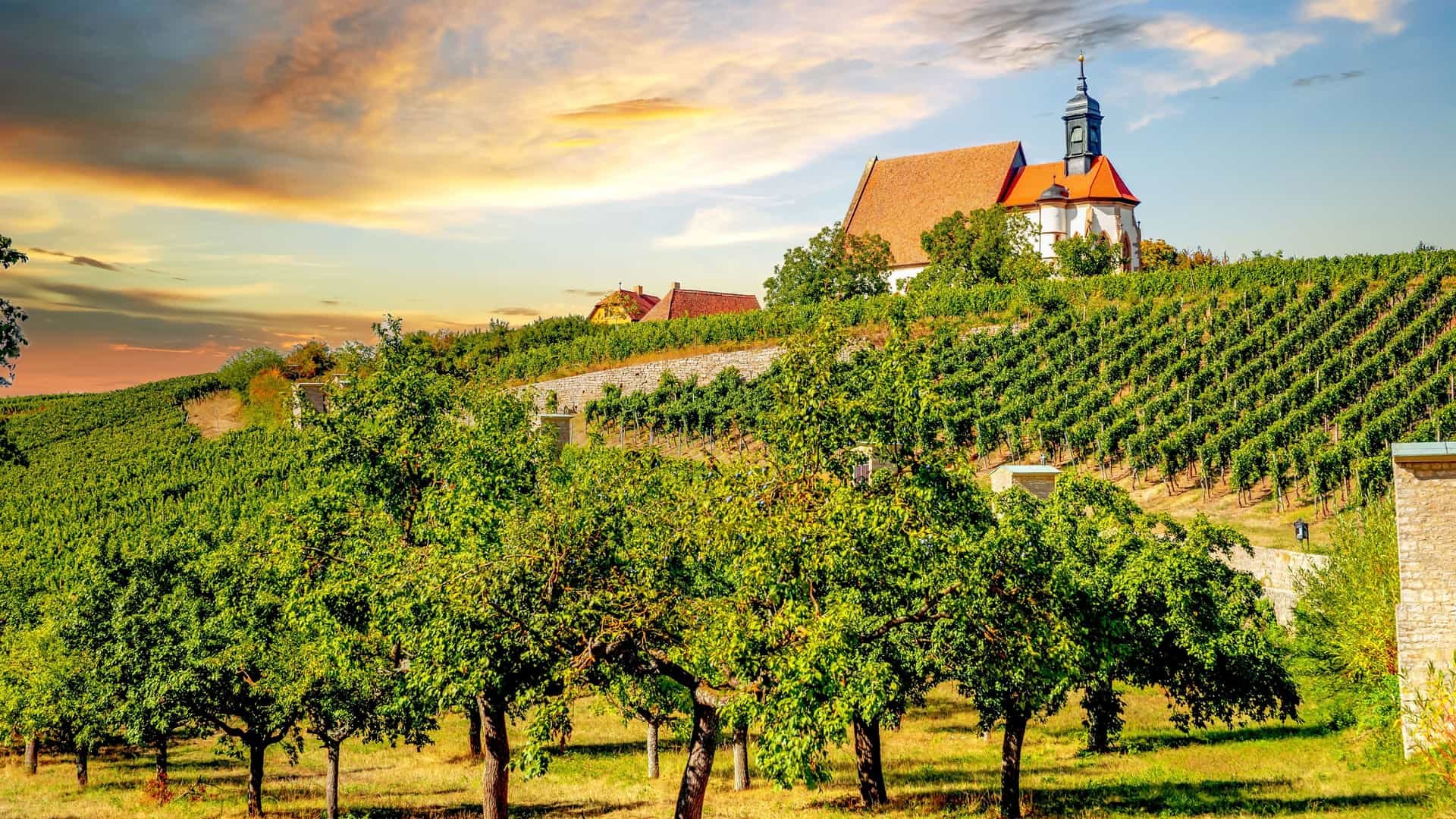 Volkach Vineyard Winemaker Tour & Private Cellar Tasting