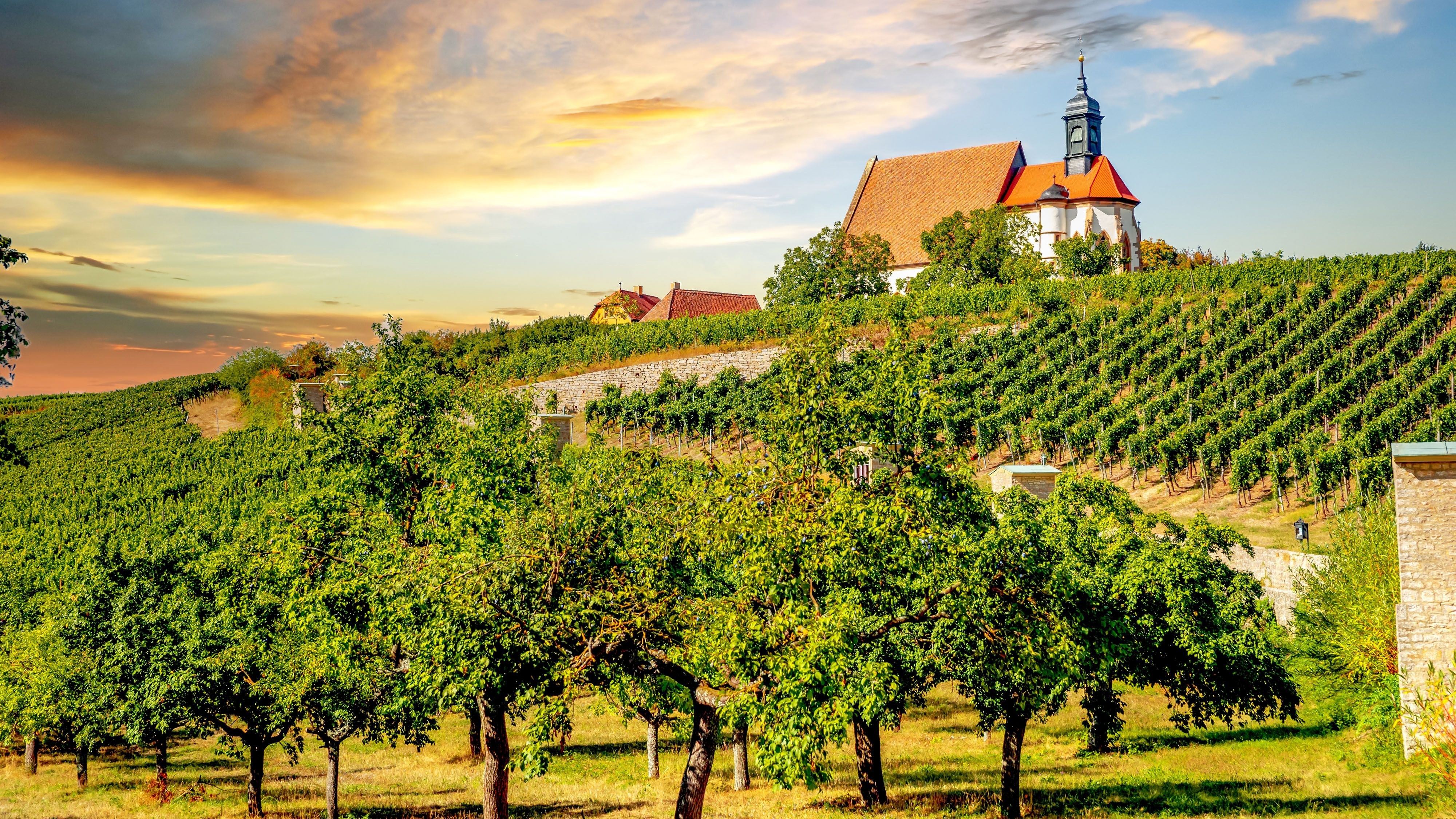 Main River Sunset Wine Cruise Through the Volkach Horseshoe