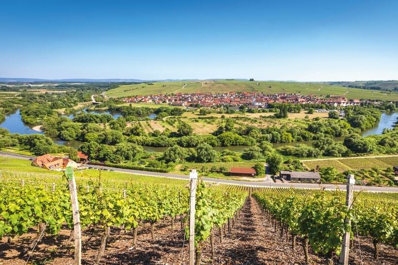 Main River Valley: Private Half-Day Cycling & Vineyard Picnic