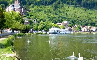 Franconian Wine Country: Private Bocksbeutel Winery Tour