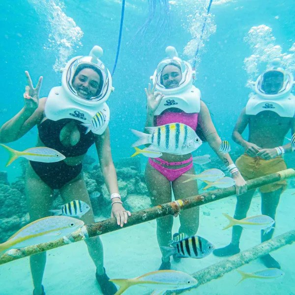 Sea Trek Underwater Helmet Walk & SNUBA at De Palm Island