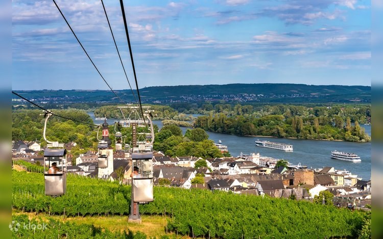 Rhine Valley Day Trip: Cable Car, Vineyards & Niederwalddenkmal