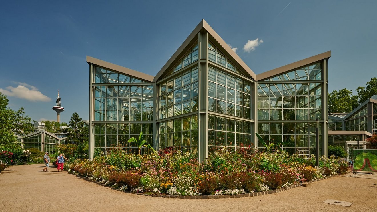 Palmengarten Frankfurt: Botanical Masterpiece & Glasshouse Gardens