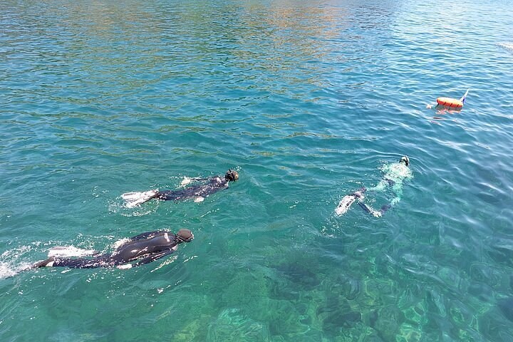 Ilhéus das Cabras: Private Boat & Snorkel Around Terceira's Islets