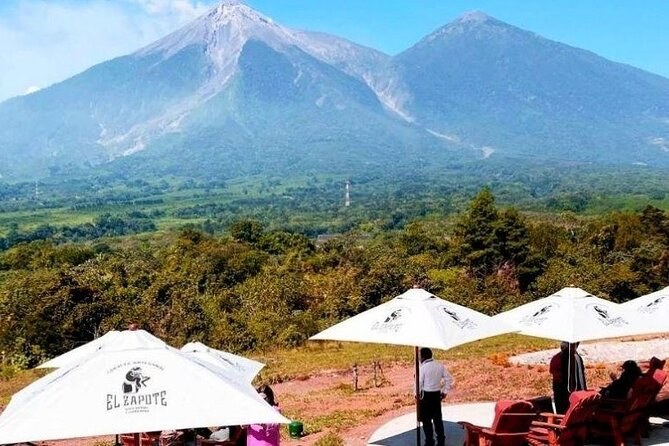 San Cayetano Working Coffee Finca: Private Farm-to-Table Lunch Tour