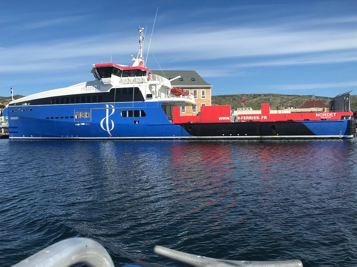 Coastal Wildlife Cruise: Seabirds & Whales with SPM Ferries