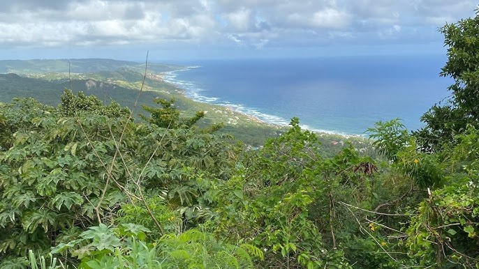 Bathsheba & the rugged Atlantic east coast by open 4x4 (Island Safari)