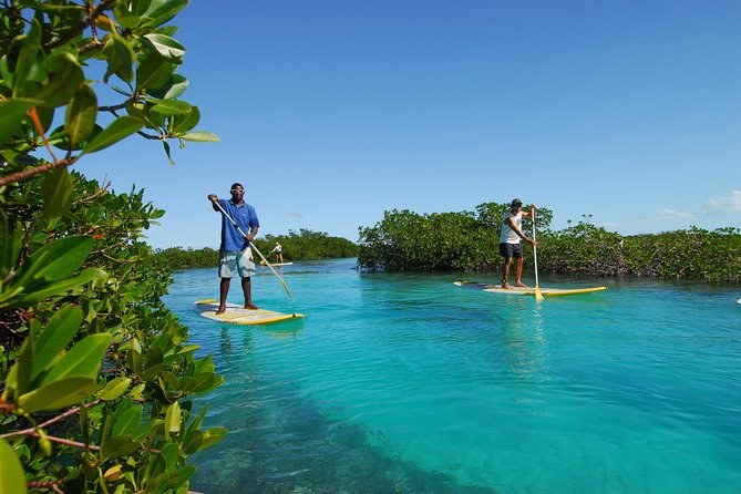 Stand-Up Paddleboard Tour of Soper's Hole & Frenchman's Cay