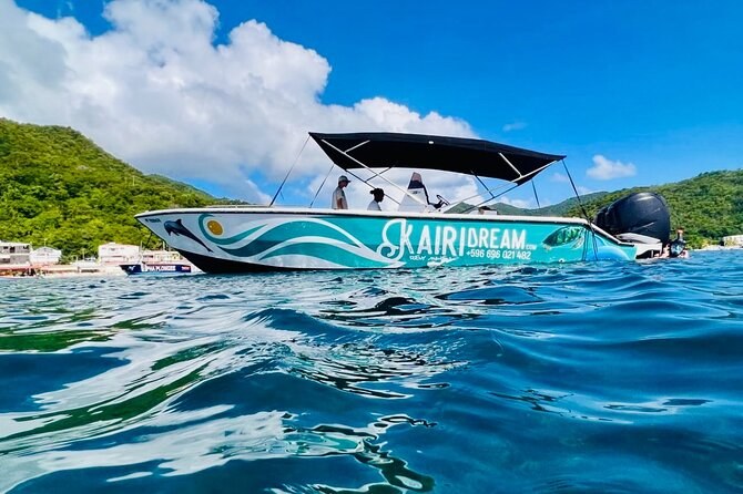 Speed Boat Dolphins & Sea Turtles: Full-Day Private Charter