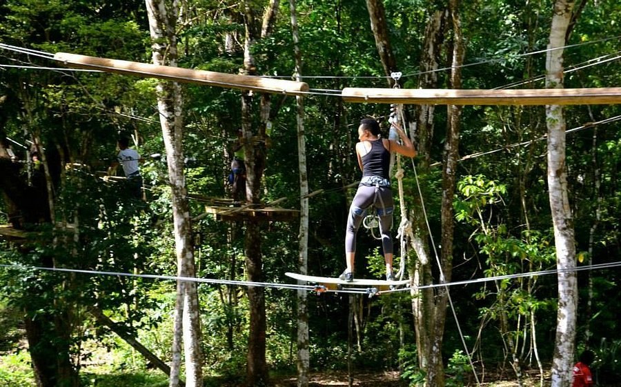 Mangofil Martinique: Jungle Zipline & Adventure in the Canopy