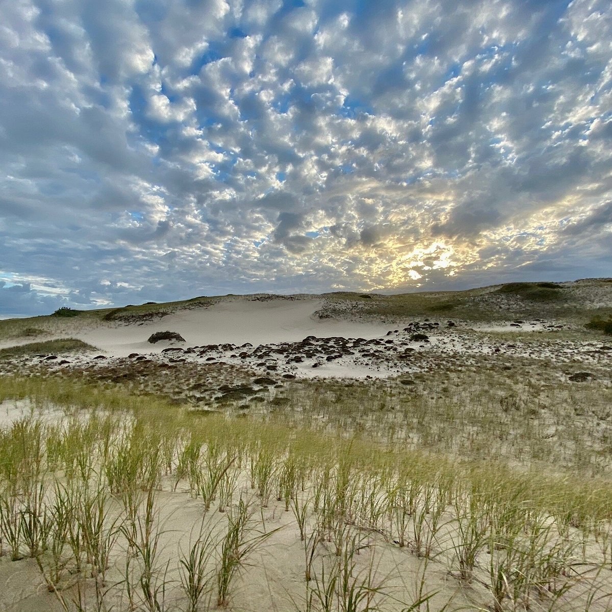 Race Point Dunes & Provincelands: Private Guided ATV Safari