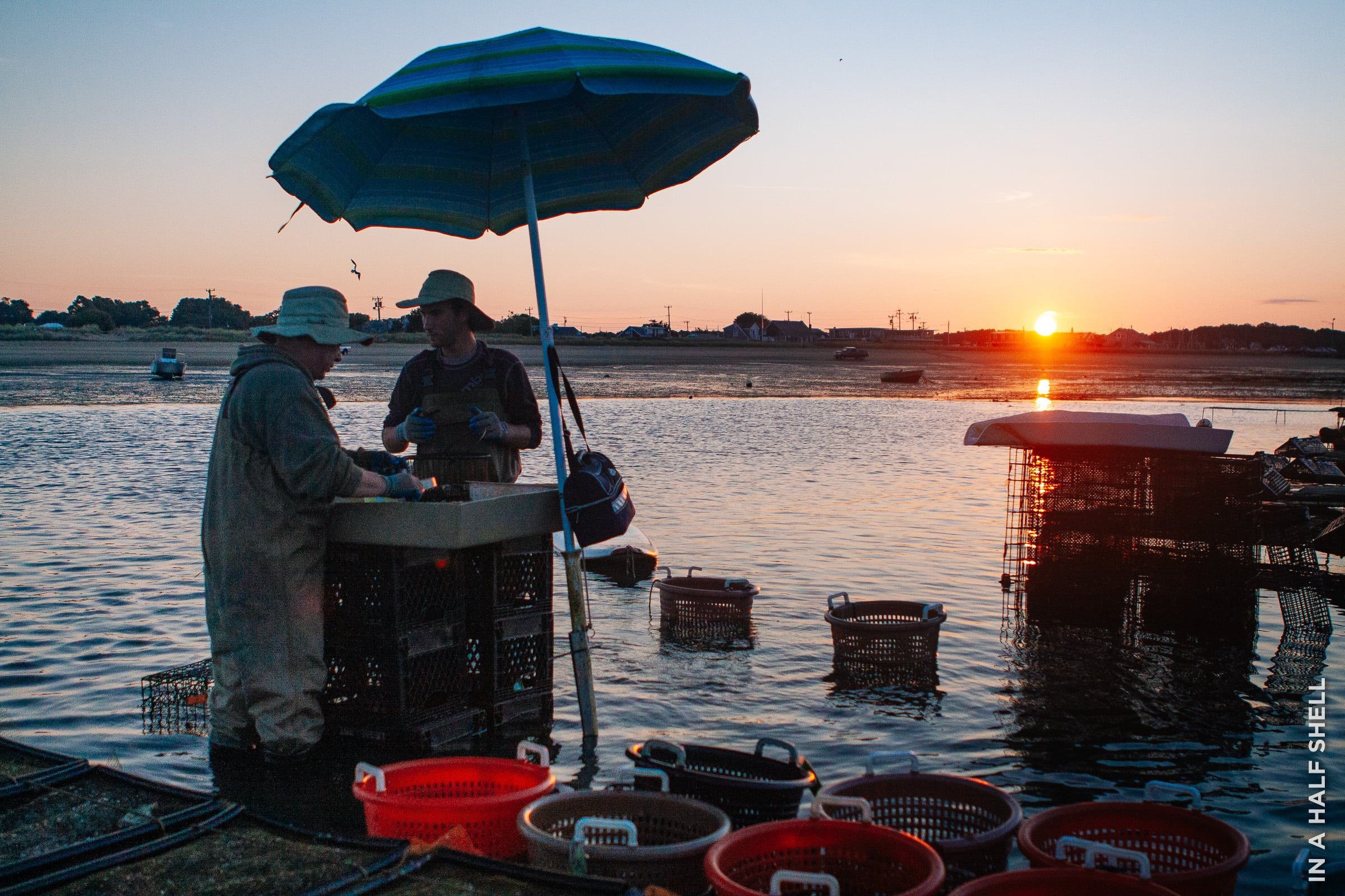 Nauset Beach & Wellfleet Oyster Tasting: A Cape Cod Food Journey