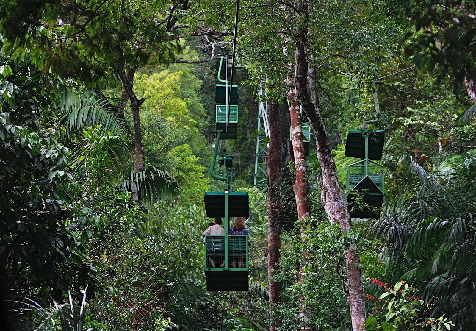 Gamboa Aerial Tram & Rainforest Canopy at Soberanía National Park