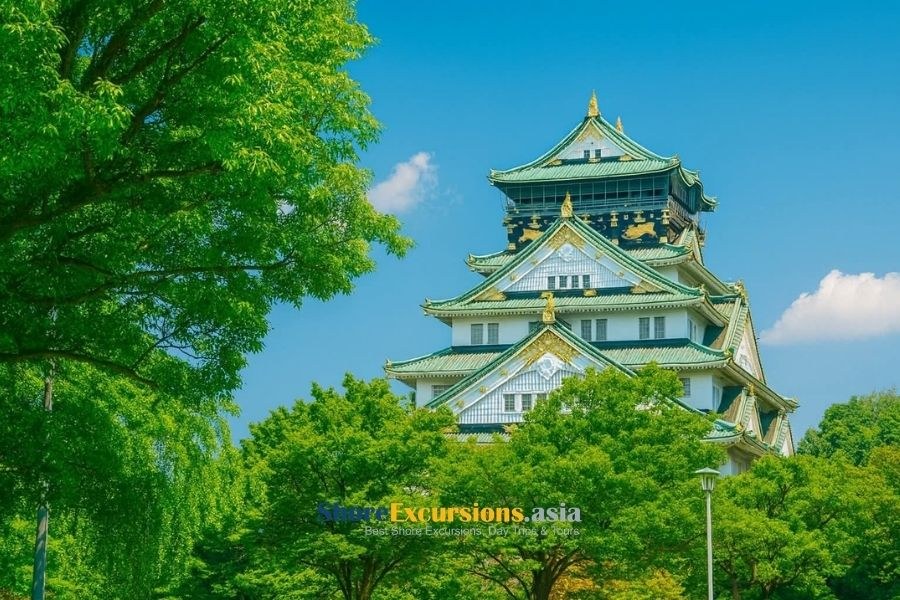 Osaka Castle & Dotonbori: Private Half-Day with Local Expert