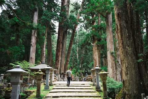 Koya-san: Sacred Mountain Monastery & Lantern-Lit Cemetery