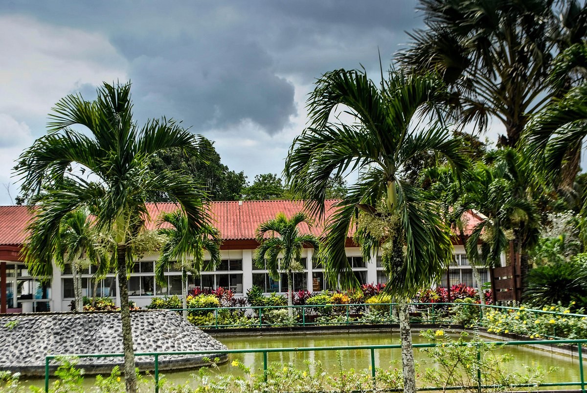 Palawan Wildlife Rescue & Conservation Center: Private Expert Tour