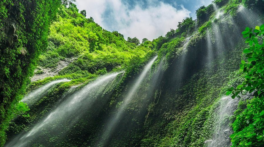 Madakaripura Waterfall: Hidden Canyon of the Gods
