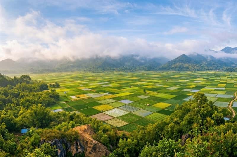 Sacred Sasak Villages & Bukit Selong Rice Terraces — Private