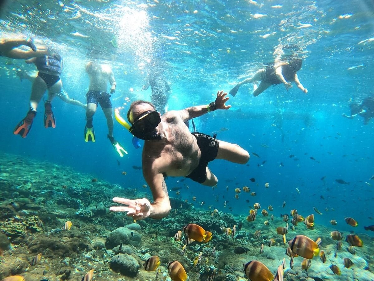 Manta Point Snorkel & Komodo Dragon Trek — Private Day