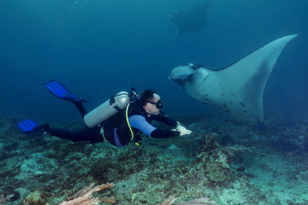 Scuba Diving the Komodo Strait — Private Guided 2-Tank Dive