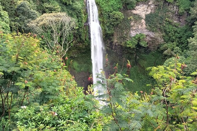 Bogor Botanical Garden, Waterfall & Rice Terrace with Lunch