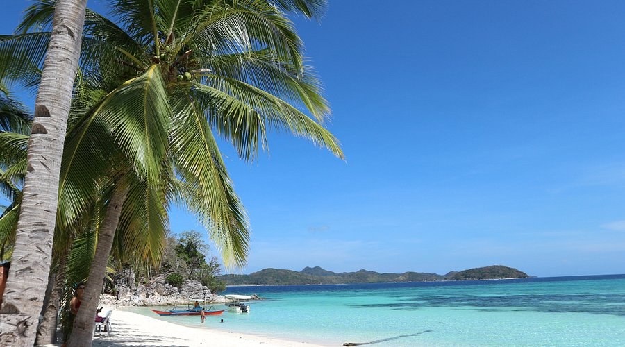 Malcapuya Island Private Beach Day: Palawan's Finest White Sand