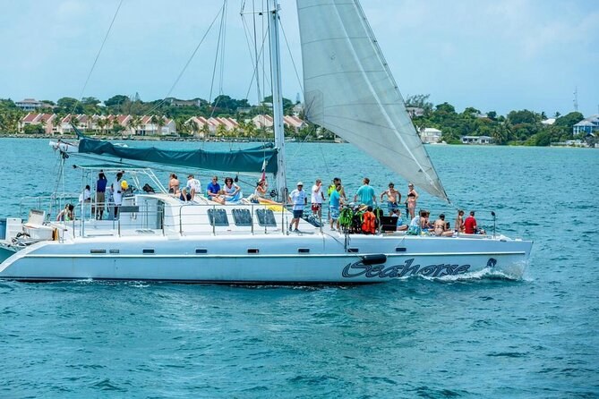 Catamaran Sail & Reef Snorkel With Open Bar