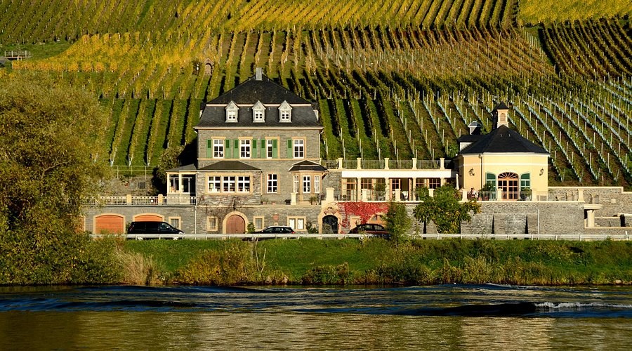 Private Wine & Vineyard Immersion at Weingut Dr. Loosen