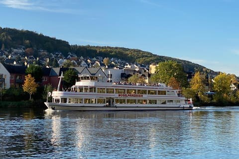 Moselle Panoramic Boat Tour: Lieser, Mülheim & the Vineyard Bends