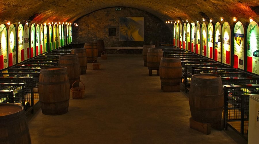 Moselle Wine Museum: Private Curator Tour of Germany's Wine Story